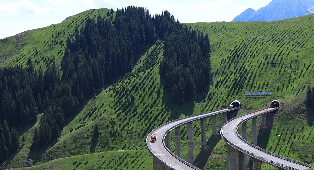 植物与地球之碳中和系列课程