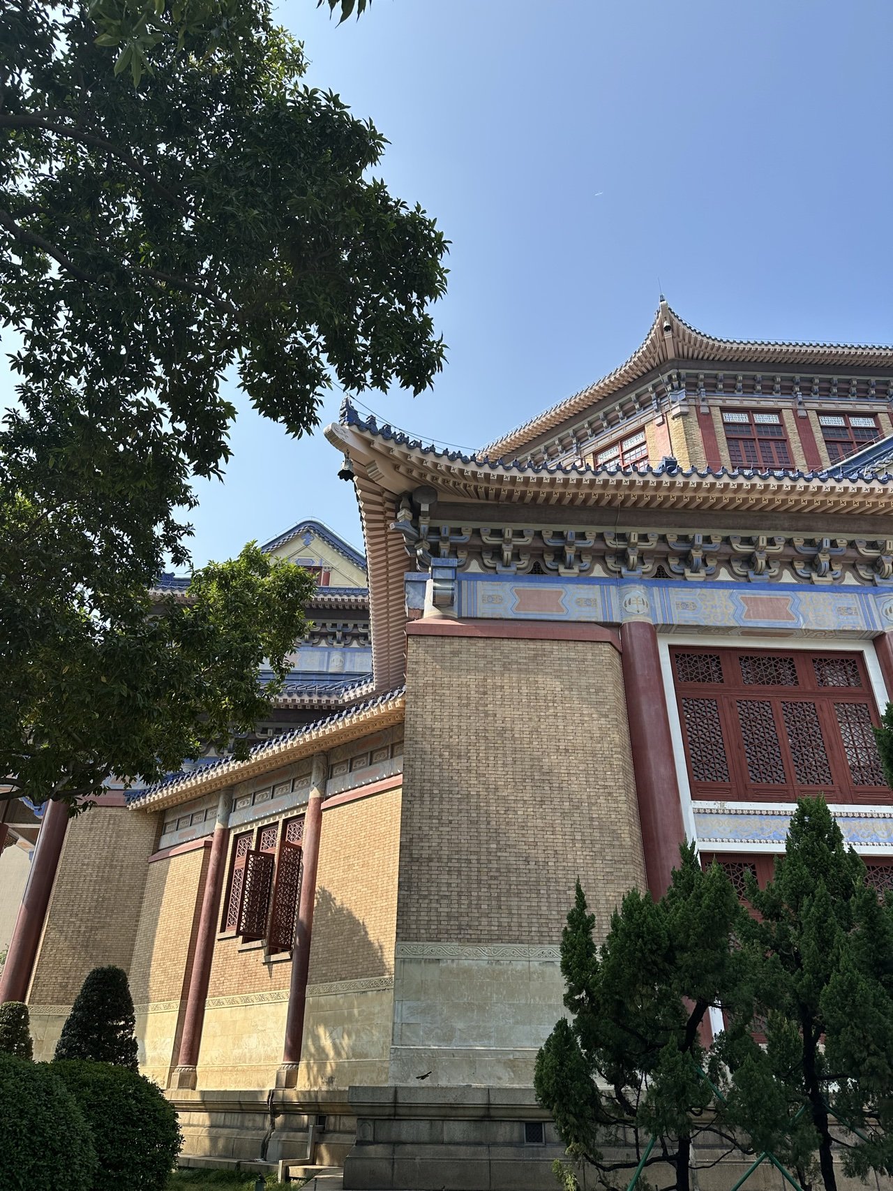 城市生态多样性系列课程之古树名木的智慧