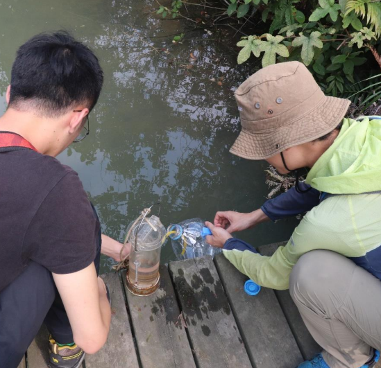 湿地探究性学习之动物、植物、生境调查